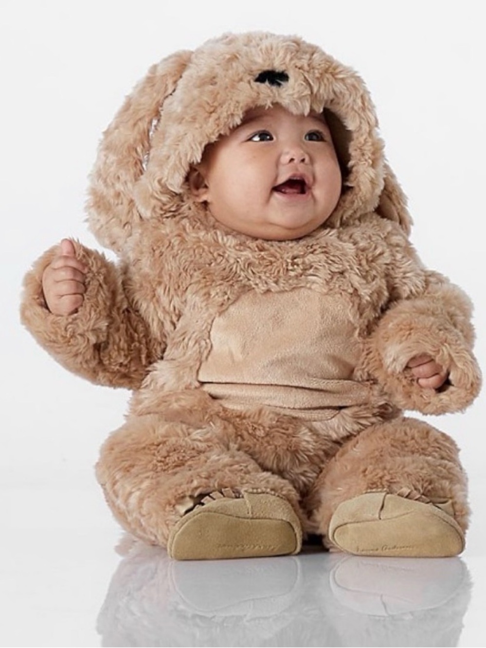 Puppy dog Pottery Barn Kids Baby Costume 0-6mo